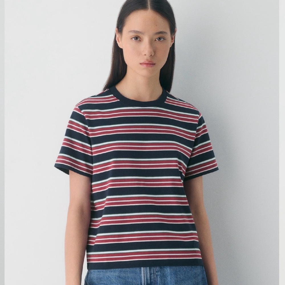 Aritzia CottonWhisk™ Emma T-Shirt